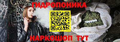 спиды Сланцы