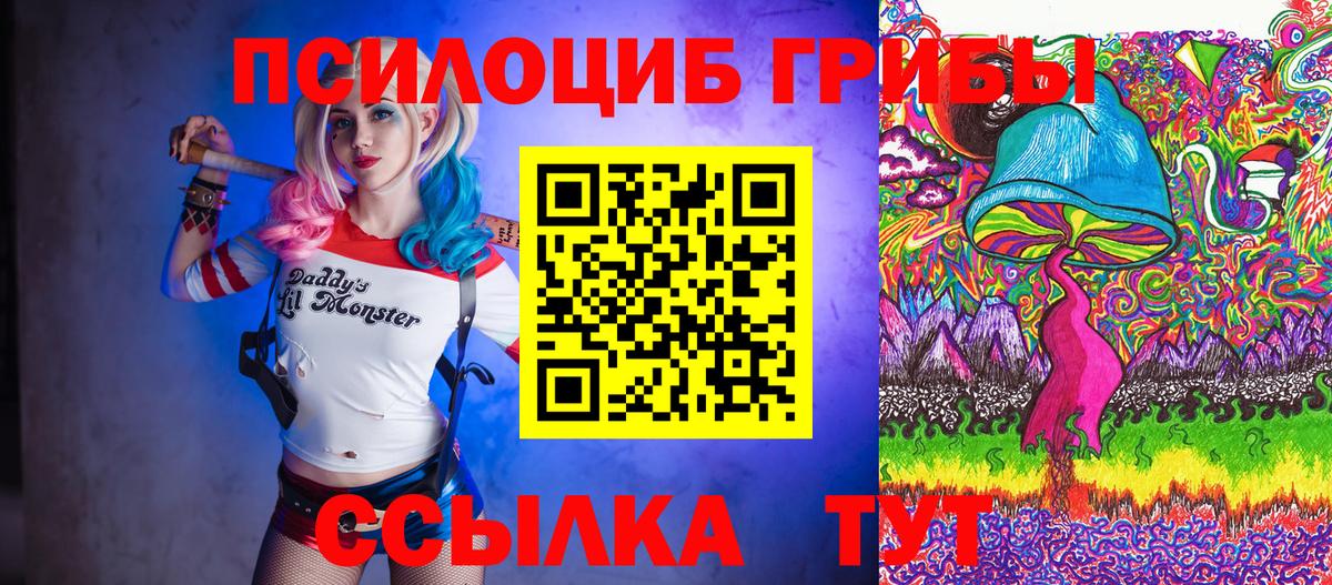 Псилоцибиновые грибы прущие грибы Павловский Посад